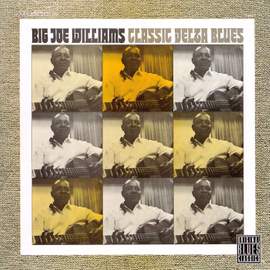 Big Joe Williams / Classic Celta Blues