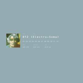 Electro Soma