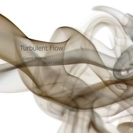 Turbulent Flow