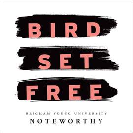 Bird Set Free