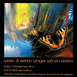 Prøv Å Sette Vinger På En Stein