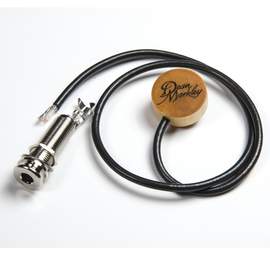 Acoustic Guitar Artist Pick Up