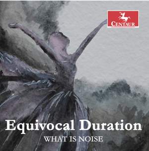 Equivocal Duration: What Is Noise