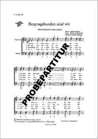 Hans Kolesa: Bergvagabunden sind wir