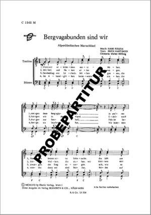 Hans Kolesa: Bergvagabunden sind wir