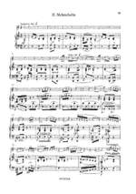 Peter Benoit: Flute Concerto Product Image