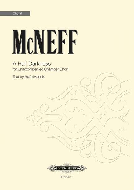 Stephen McNeff: A Half Darkness