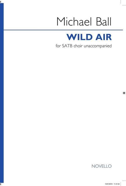 Michael Ball: Wild Air