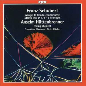 Schubert & Hüttenbrenner: Chamber Works