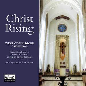 Christ Rising Product Image