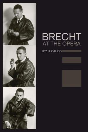 Brecht at the Opera Product Image