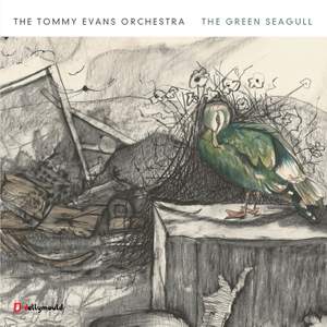 The Green Seagull