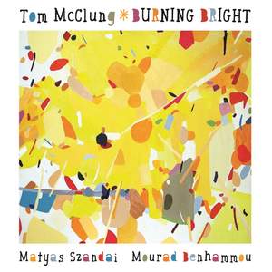 Burning Bright (feat. Matyas Szandai & Mourad Benhammou)