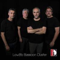 LowB-Flat Bassoon Cluster