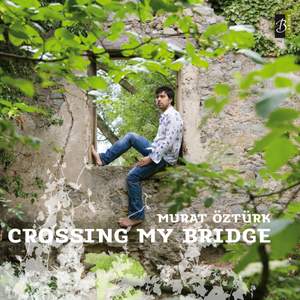 Crossing My Bridge