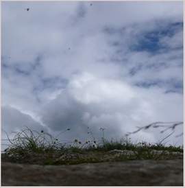Kyle Bruckmann & Ernst Karel: Electricals - Field / Drift / Current / Resistance / Interval