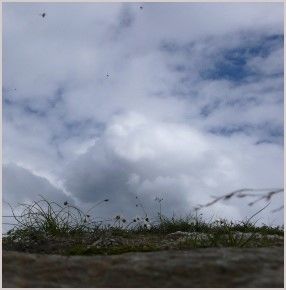 Kyle Bruckmann & Ernst Karel: Electricals - Field / Drift / Current / Resistance / Interval