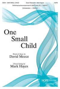 David Meece: One Small Child