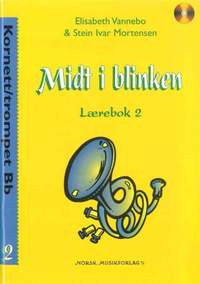 Elisabeth Vannebo_Stein Ivar Mortensen: Midt I Blinken