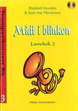 Elisabeth Vannebo_Stein Ivar Mortensen: Midt I Blinken