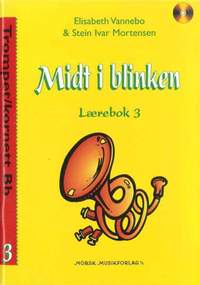 Elisabeth Vannebo_Stein Ivar Mortensen: Midt I Blinken