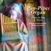 Pan-Pipes and Organ (Flûte de Pan et orgue)