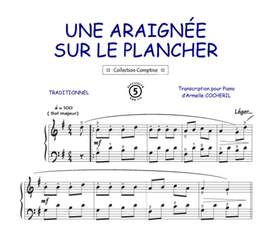 Une araignée sur le plancher