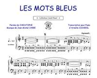 Jarre Christophe: Les mots bleus