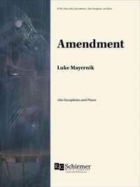 Luke Mayernik: Amendment