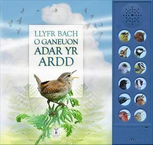 LLYFR BACH O GANEUON ADAR YR ARDD: The Little Book of Garden Bird Songs (Welsh edition)