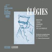 Élégies (Les musiciens et la Grande Guerre, Vol. 34)