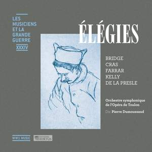 Élégies (Les musiciens et la Grande Guerre, Vol. 34)