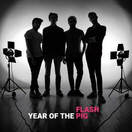 Year of the Pig
