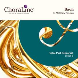 Bach, JS: St Matthew Passion (Matthaus Passion)