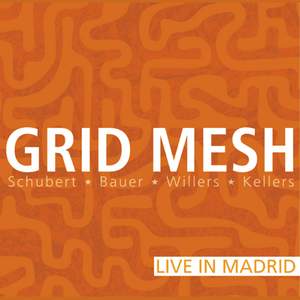 Grid Mesh; Live in Madrid