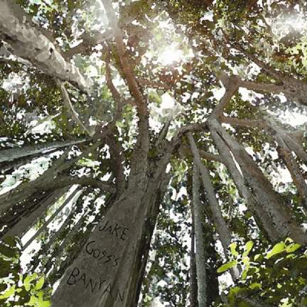 Looking Up
