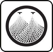 A Life Saved By A Spider And Two Doves