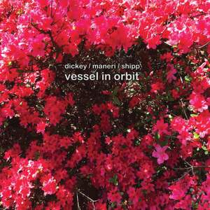 Vessel in Orbit