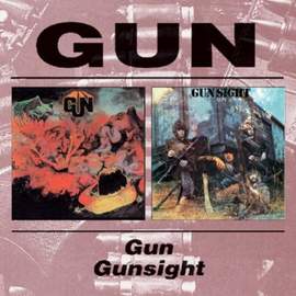 Gun / Gunsight
