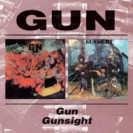 Gun / Gunsight