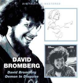 David Bromberg / Demon In Disguise