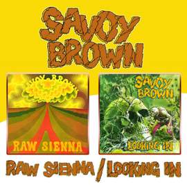 Raw Sienna / Looking In