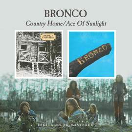 Country Home / Ace Of Sunlight