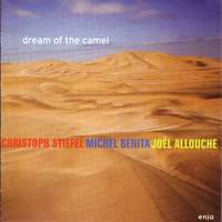 Dream Of The Camel