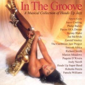 In the Groove, Vol. 1