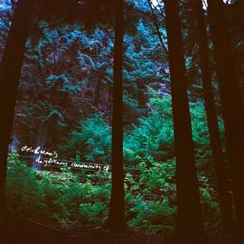 Stein & Mari's Daydream Community (180g Vinyl)