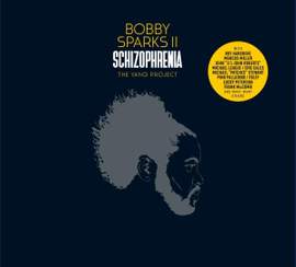 Schizophrenia - The Yang Project