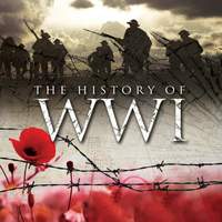 The History Of WWI