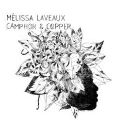 Camphor & Camper