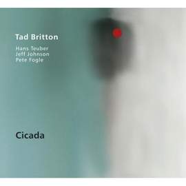 Cicada